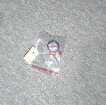 2011 Nats Lapel Pin