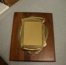 Meritorious Service Award