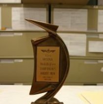 1st Place Pylon Racing Trophy