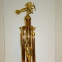 picture by Joan Enticknap