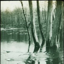 A1997.37.05 Lantern slide (cropped)