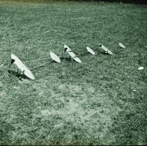 A1997.37. Lantern slide (cropped)