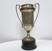 2018.33.88 20_11_12 1