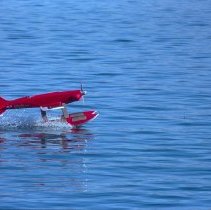 A2020.10.197 Color slide