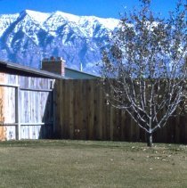 A2020.10.992 Color slide