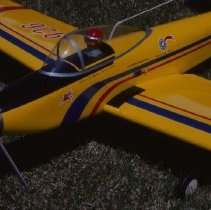 A2020.10.1158, Color slide