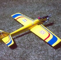 A2020.10.1157, Color slide (Scanza)