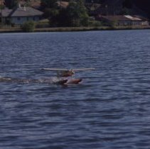 A2020.10.1227, Color slide