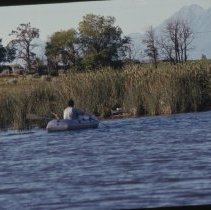 A2020.10.1228, Color slide