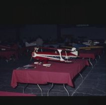 A2020.10.1555, Color slide