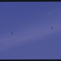 A2020.10.1701, Color slide (cropped)