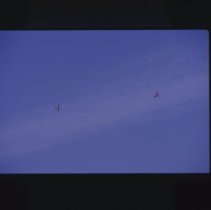 A2020.10.1701, Color slide