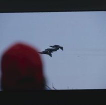 A2020.10.2483, Color slide