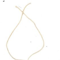 A2025.02.159 Identification tag