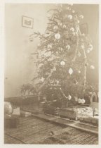 Vintage Photo of 1155  Electric Train Under Christmas Tree