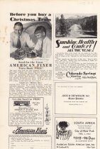 "Before You Buy a Christmas Train..."