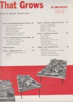 HO Railroad That Grows