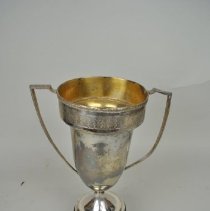 2011.01.26 Back Of Trophy