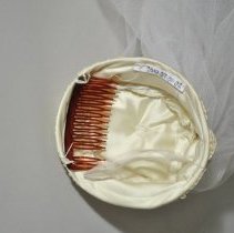 2018.07.01.02 Inside Of Veil Cap