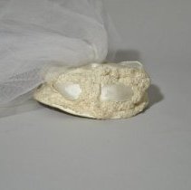 2018.07.01.02 Veil Cap