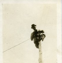 W.C. Vandervoort atop a Telegraph Pole