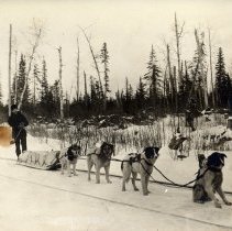 Man with Dogsled