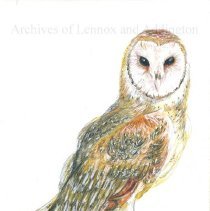 A2024.002.001 Barn Owl
