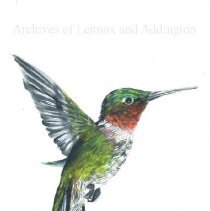 A2024.002.007 Ruby-throated Hummingbird