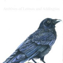 A2024.002.006 American Crow