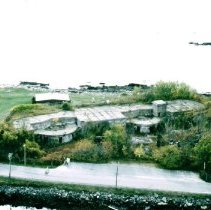 Ft. Constitution (Oct., 2001)