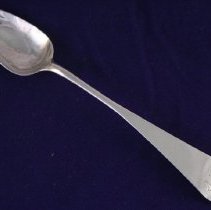 C10.007 Teaspoon