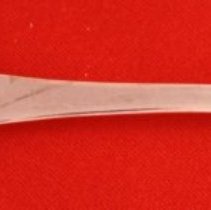 C14.024 Salt Spoon
