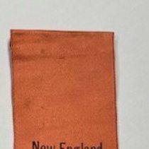 Judge's Badge, 1883 Firemen's Muster