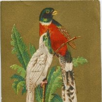 David Kimball & Co. Apothecaries, No. 36 Market Street, Portsmouth, N.H.