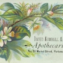 David Kimball & Co. Apothecaries, No. 36 Market Street, Portsmouth, N.H.