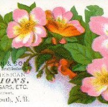 J. H. Thompson & Son