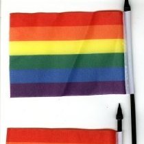 (2) Rainbow flags