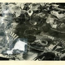 Bavicchi Ephemera Collection, June, 1989.