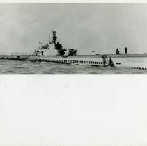 USS Steelhood