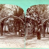 Middle Street Return of the Sons & Daughters Decorations