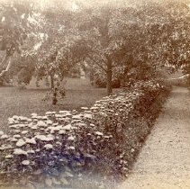 Garden of the Charles M. Laighton House