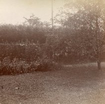 Garden of the Charles M. Laighton House