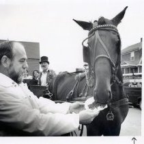 Chester's 11th Birtthday