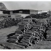 Northeast Petroleum Co., Inc.