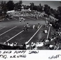 Market Square Day Weekend