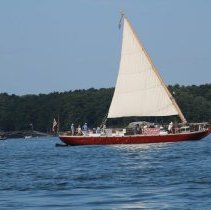 Athenaeum Excursion to Wood Island