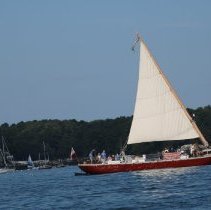 Athenaeum Excursion to Wood Island