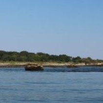 Athenaeum Excursion to Wood Island