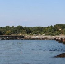 Athenaeum Excursion to Wood Island