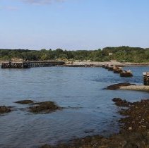 Athenaeum Excursion to Wood Island